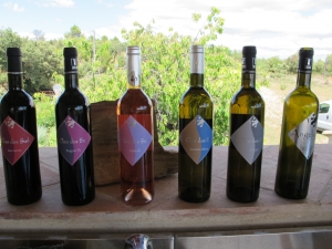 De wijnen uit de Languedoc geimporteerd door Annette van Ruitenburg